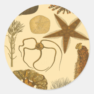 Meereslebewesen Runder Aufkleber