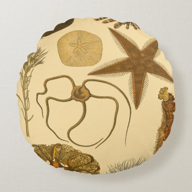 Meereslebewesen Rundes Kissen (Vorderseite)