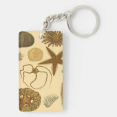 Meereslebewesen Schlüsselanhänger (Rückseite)