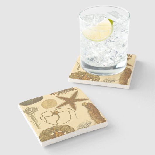 Meereslebewesen Steinuntersetzer (Seitenansicht)