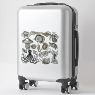 Meereslebewesen Transparente Vinyl Stickers Aufkleber