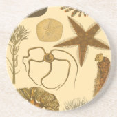 Meereslebewesen Untersetzer (Vorne)