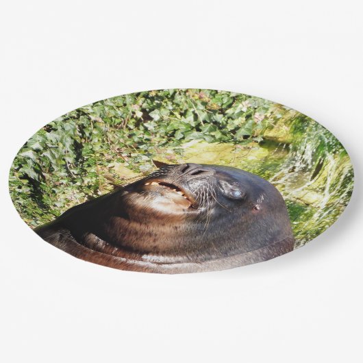 MEERESLICH PAPPTELLER (Schrägansicht)