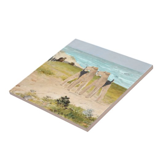 Meeresluft Fliese (Seite)