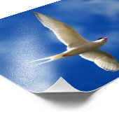 Meeresmöwe Fotodruck (Ecke)