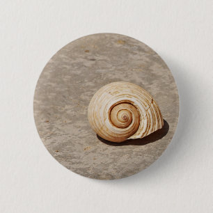 Meeresmuschel Button