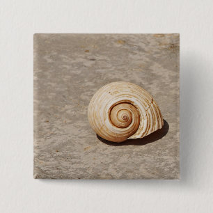 Meeresmuschel Button