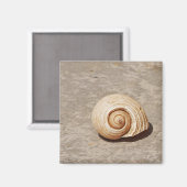 Meeresmuschel Magnet (Vorderseite/Rückseite)