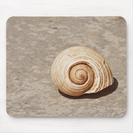 Meeresmuschel Mousepad (Vorne)