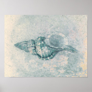 Meeresmuschel Türkis Beige Vintage Ozean Strand Te Poster