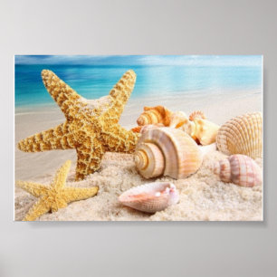 Meeresmuscheln am Strand Poster