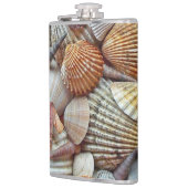 Meeresmuscheln Flachmann (Links)