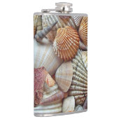 Meeresmuscheln Flachmann (Rechts)