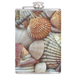 Meeresmuscheln Flachmann