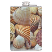 Meeresmuscheln Flachmann (Rückseite)