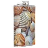 Meeresmuscheln Flachmann (Rechts)