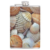 Meeresmuscheln Flachmann (Vorderseite)