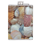 Meeresmuscheln Flachmann (Rückseite)