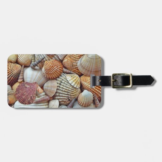 Meeresmuscheln Gepäckanhänger (Vorderseite horizontal)