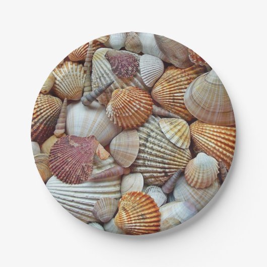 Meeresmuscheln Pappteller (Vorderseite)