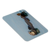 Meeresotter, der im Ozean zurückschweben Magnet (Rechte Seite)