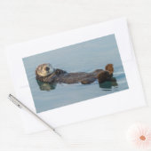 Meeresotter, der im Ozean zurückschweben Rechteckiger Aufkleber (Umschlag)