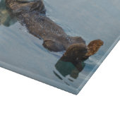 Meeresotter, der im Ozean zurückschweben Schneidebrett (Ecke)