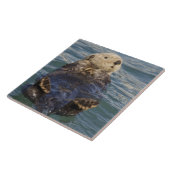 Meeresotter spielen auf Eisbergen bei Surprise Inl Fliese (Seite)