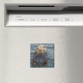 Meeresotter spielen auf Eisbergen bei Surprise Inl Magnet (In Situ (Geschirrspüler))