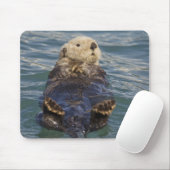 Meeresotter spielen auf Eisbergen bei Surprise Inl Mousepad (Mit Mouse)