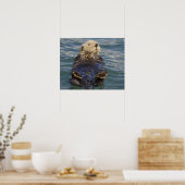 Meeresotter spielen auf Eisbergen bei Surprise Inl Poster (Küche)