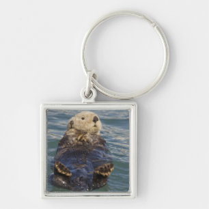 Meeresotter spielen auf Eisbergen bei Surprise Inl Schlüsselanhänger