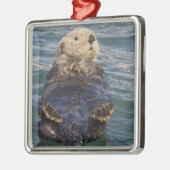 Meeresotter spielen auf Eisbergen bei Surprise Inl Silbernes Ornament (Links)