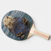 Meeresotter spielen auf Eisbergen bei Surprise Inl Tischtennis Schläger (Seitenansicht)