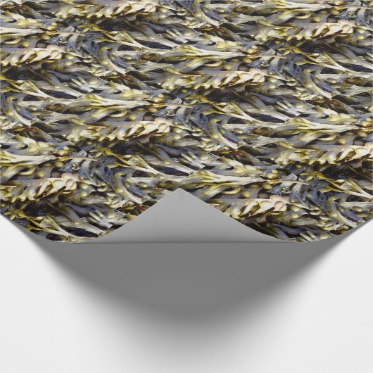 Meerespflanze Geschenkpapier (Ecke)