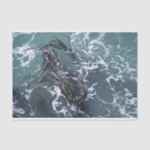 Meerespflanze-Seidenpapier