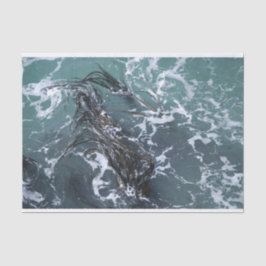 Meerespflanze-Seidenpapier Seidenpapier