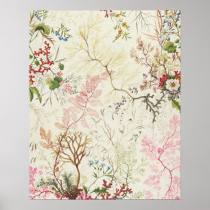 Meerespflanzeentwurf für silk Material (w/c auf Poster