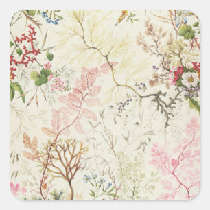 Meerespflanzeentwurf für silk Material (w/c auf Quadratischer Aufkleber