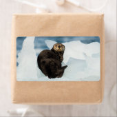 Meeresrauscher (Insitu)