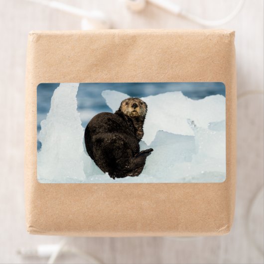 Meeresrauscher (Insitu)