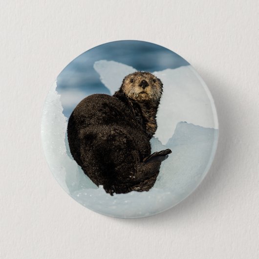 Meeresrauscher Button (Vorderseite)