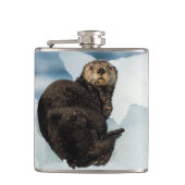 Meeresrauscher Flachmann (Vorderseite)