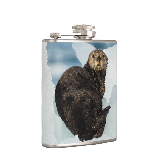 Meeresrauscher Flachmann (Rechts)