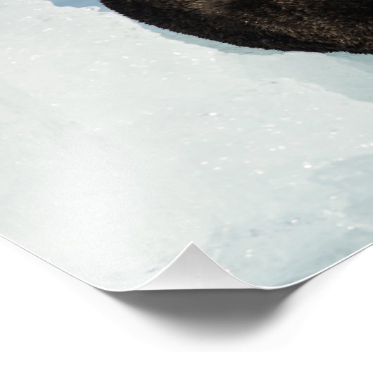 Meeresrauscher Fotodruck (Ecke)