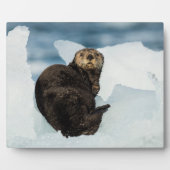 Meeresrauscher Fotoplatte (Vorderseite)