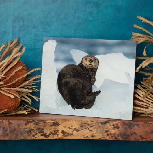 Meeresrauscher Fotoplatte (Seite)