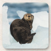 Meeresrauscher Getränkeuntersetzer (Vorderseite)