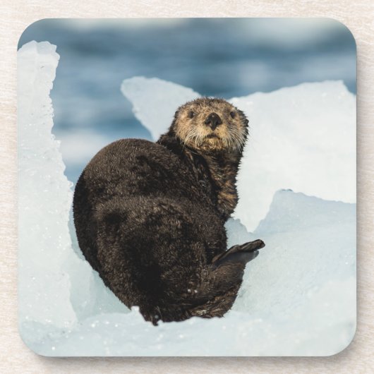 Meeresrauscher Getränkeuntersetzer (Vorderseite)