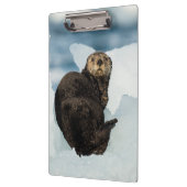 Meeresrauscher Klemmbrett (Links)